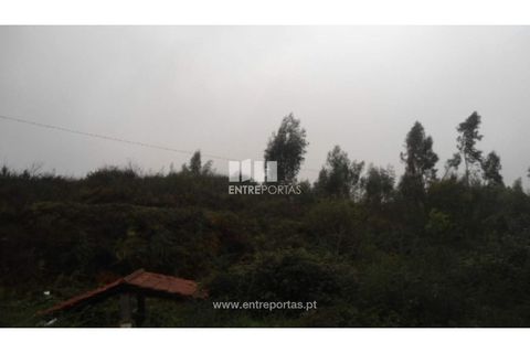 Helårsgrund i Penafiel, Porto, Penafiel - € 70.000 | Ref: MC06554 - foto 8