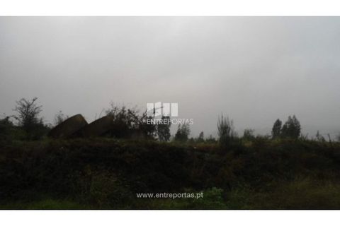 Helårsgrund i Penafiel, Porto, Penafiel - € 70.000 | Ref: MC06554 - foto 9