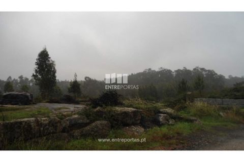 Helårsgrund i Penafiel, Porto, Penafiel - € 70.000 | Ref: MC06554 - foto 10