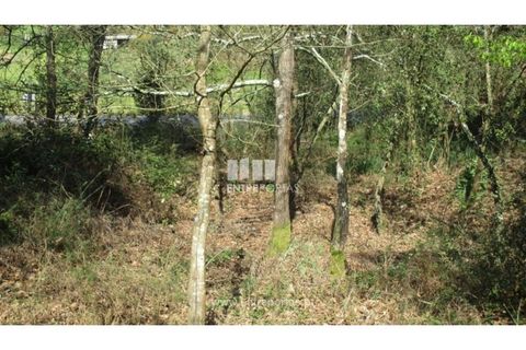 Helårsgrund i Melres e Medas, Porto, Melres e Medas - € 37.000 | Ref: MC07579 - foto 6