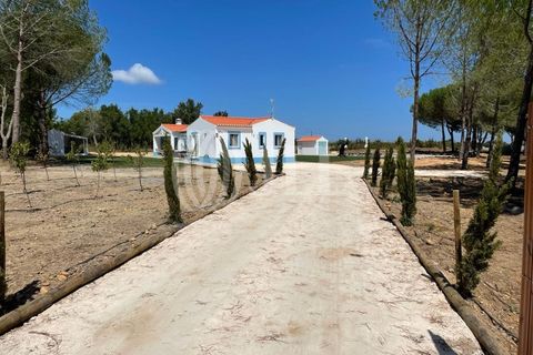 Villa i Sao Teotonio, Beja, Sao Teotonio - € 645.000 | Ref: 98180 - foto 14