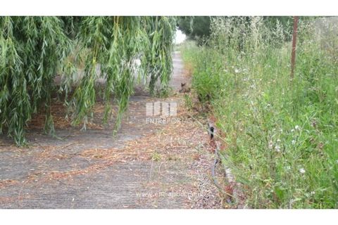 Helårsgrund i Sobreira, Porto, Sobreira - € 57.000 | Ref: MC07891 - foto 4