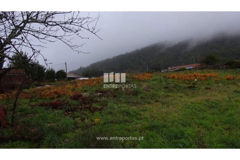 Helårsgrund i Viana do Castelo, Viana do Castelo, Viana do Castelo - € 400.000 | Ref: VCM12032 - foto 1