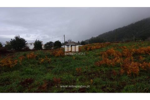 Helårsgrund i Viana do Castelo, Viana do Castelo, Viana do Castelo - € 400.000 | Ref: VCM12032 - foto 4
