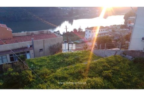 Helårsgrund i Penafiel, Porto, Penafiel - € 55.000 | Ref: MC08902 - foto 13
