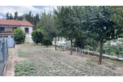 Helårsgrund i Penafiel, Porto, Penafiel - € 108.000 | Ref: MC09015 - foto 3