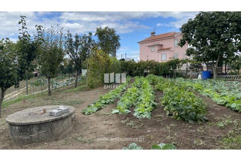 Helårsgrund i Penafiel, Porto, Penafiel - € 108.000 | Ref: MC09015 - foto 4