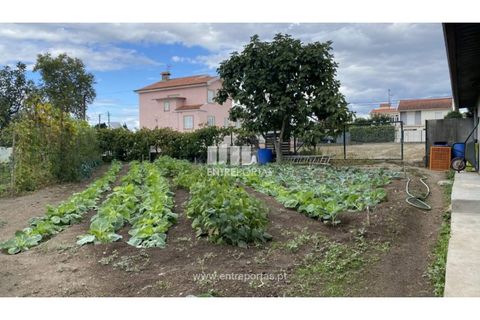 Helårsgrund i Penafiel, Porto, Penafiel - € 108.000 | Ref: MC09015 - foto 5