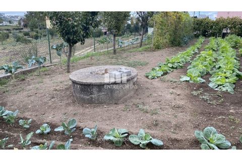 Helårsgrund i Penafiel, Porto, Penafiel - € 108.000 | Ref: MC09015 - foto 6