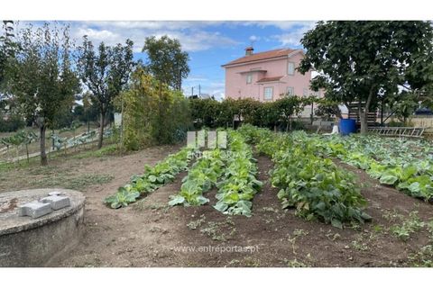 Helårsgrund i Penafiel, Porto, Penafiel - € 108.000 | Ref: MC09015 - foto 7