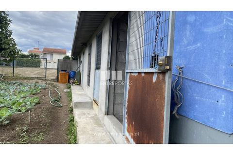 Helårsgrund i Penafiel, Porto, Penafiel - € 108.000 | Ref: MC09015 - foto 8