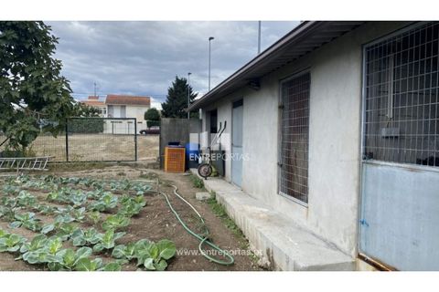Helårsgrund i Penafiel, Porto, Penafiel - € 108.000 | Ref: MC09015 - foto 9