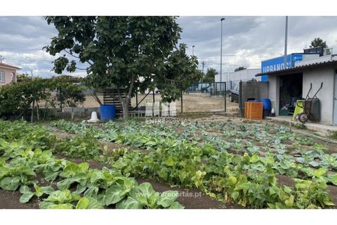 Helårsgrund i Penafiel, Porto, Penafiel - € 108.000 | Ref: MC09015 - foto 12