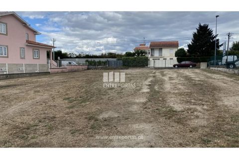 Helårsgrund i Penafiel, Porto, Penafiel - € 108.000 | Ref: MC09015 - foto 13