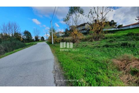 Grond in Baiao, Porto, Baiao - € 87.000 | Ref: MC09055 - foto 3