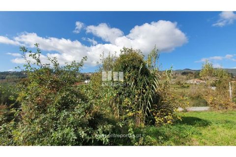 Grond in Baiao, Porto, Baiao - € 87.000 | Ref: MC09055 - foto 8