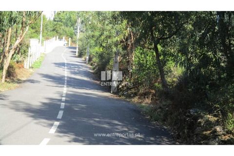 Helårsgrund i Penafiel, Porto, Penafiel - € 40.000 | Ref: MC09251 - foto 2