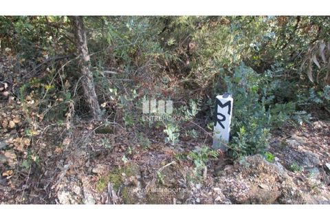 Helårsgrund i Penafiel, Porto, Penafiel - € 40.000 | Ref: MC09251 - foto 3