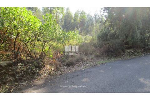 Helårsgrund i Penafiel, Porto, Penafiel - € 40.000 | Ref: MC09251 - foto 4