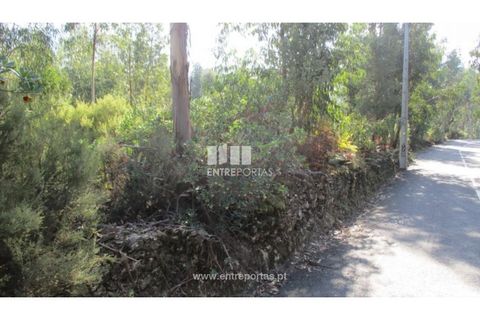 Helårsgrund i Penafiel, Porto, Penafiel - € 40.000 | Ref: MC09251 - foto 5