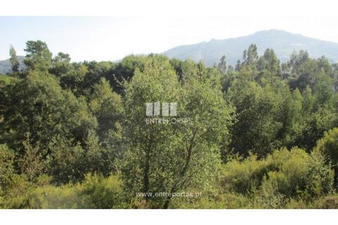 Helårsgrund i Penafiel, Porto, Penafiel - € 40.000 | Ref: MC09251 - foto 6