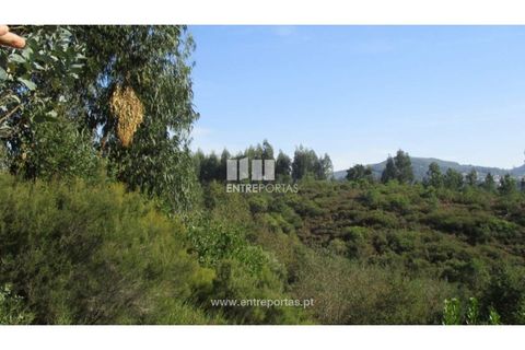 Helårsgrund i Penafiel, Porto, Penafiel - € 40.000 | Ref: MC09251 - foto 7