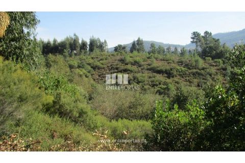 Helårsgrund i Penafiel, Porto, Penafiel - € 40.000 | Ref: MC09251 - foto 8