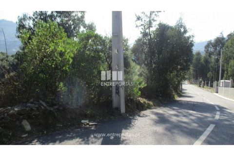 Helårsgrund i Penafiel, Porto, Penafiel - € 40.000 | Ref: MC09251 - foto 9