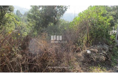 Helårsgrund i Penafiel, Porto, Penafiel - € 40.000 | Ref: MC09251 - foto 10