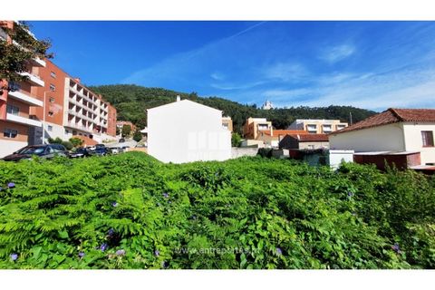 Grond in Areosa, Viana do Castelo, Areosa - € 78.000 | Ref: VCM13448 - foto 19