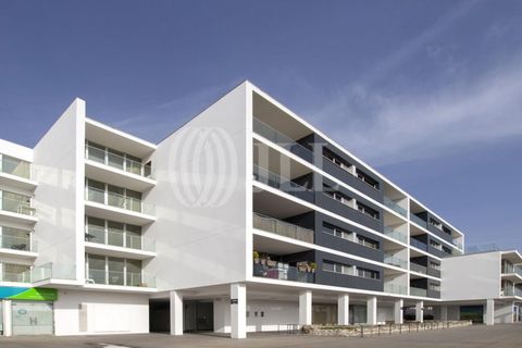 Apartment in Alges, Lisbon, Alges - € 4,500/month | Ref: 93903 - photo 16