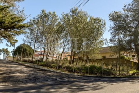 Helårsgrund i Sintra, Lisbon, Sintra - € 320.000 | Ref: 93704 - foto 12