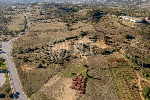 Helårsgrund i Algoz, Faro, Algoz - € 750.000 | Ref: 93591 - foto 2