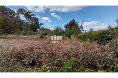 Helårsgrund i Caminha, Viana do Castelo, Caminha - € 260.000 | Ref: C02491 - foto 2