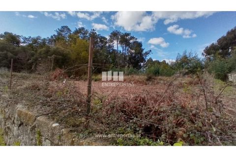 Helårsgrund i Caminha, Viana do Castelo, Caminha - € 260.000 | Ref: C02491 - foto 3
