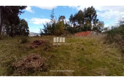 Helårsgrund i Caminha, Viana do Castelo, Caminha - € 260.000 | Ref: C02491 - foto 4