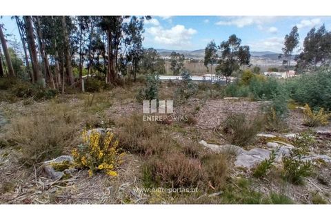 Helårsgrund i Caminha, Viana do Castelo, Caminha - € 260.000 | Ref: C02491 - foto 5