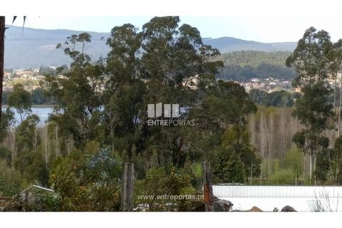 Helårsgrund i Caminha, Viana do Castelo, Caminha - € 260.000 | Ref: C02491 - foto 8
