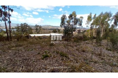 Helårsgrund i Caminha, Viana do Castelo, Caminha - € 260.000 | Ref: C02491 - foto 9