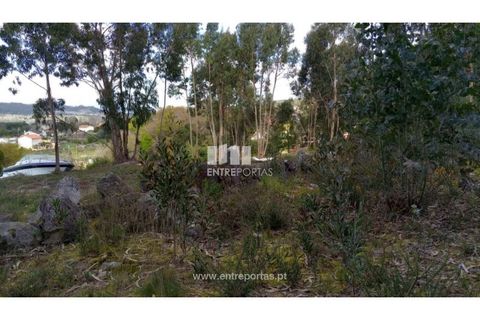 Helårsgrund i Caminha, Viana do Castelo, Caminha - € 260.000 | Ref: C02491 - foto 10