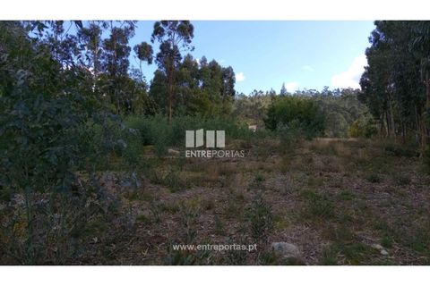 Helårsgrund i Caminha, Viana do Castelo, Caminha - € 260.000 | Ref: C02491 - foto 11
