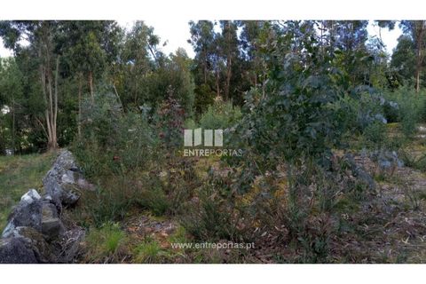 Helårsgrund i Caminha, Viana do Castelo, Caminha - € 260.000 | Ref: C02491 - foto 12