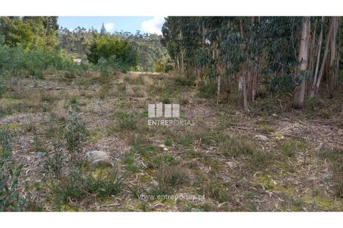 Helårsgrund i Caminha, Viana do Castelo, Caminha - € 260.000 | Ref: C02491 - foto 14