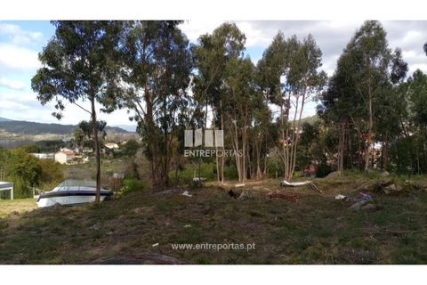 Helårsgrund i Caminha, Viana do Castelo, Caminha - € 260.000 | Ref: C02491 - foto 15