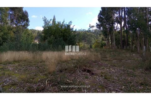 Helårsgrund i Caminha, Viana do Castelo, Caminha - € 260.000 | Ref: C02491 - foto 21