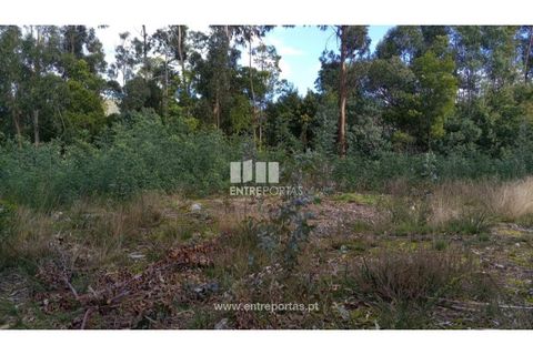 Helårsgrund i Caminha, Viana do Castelo, Caminha - € 260.000 | Ref: C02491 - foto 22