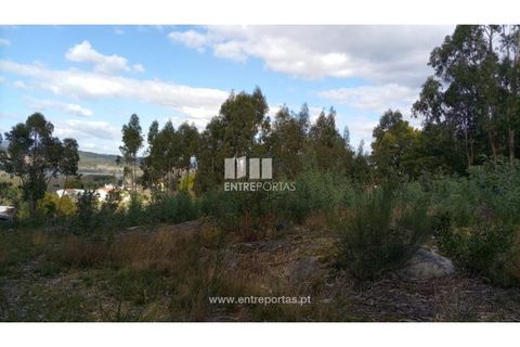 Helårsgrund i Caminha, Viana do Castelo, Caminha - € 260.000 | Ref: C02491 - foto 23