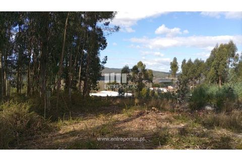 Helårsgrund i Caminha, Viana do Castelo, Caminha - € 260.000 | Ref: C02491 - foto 24