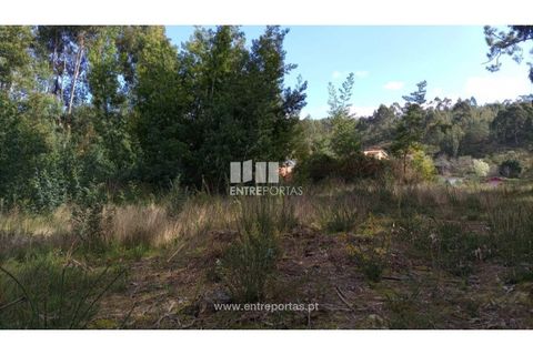 Helårsgrund i Caminha, Viana do Castelo, Caminha - € 260.000 | Ref: C02491 - foto 25