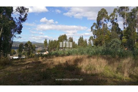 Helårsgrund i Caminha, Viana do Castelo, Caminha - € 260.000 | Ref: C02491 - foto 26